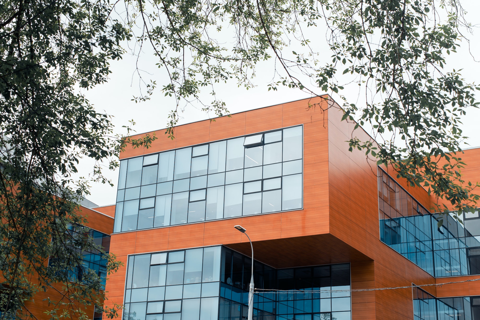 Modern minimalistic office building exterior. Part of the building in a frame of trees outdoors